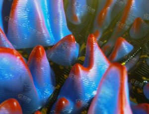 VJ运动图形动态动画40-Blender工程源文件