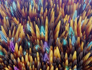 VJ运动图形动态动画43-Blender工程源文件