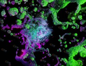 VJ运动图形动态动画82-Blender工程源文件