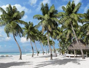 夏威夷海边Blender模型