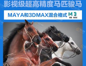影视级超高精度马匹骏马3D模型套装