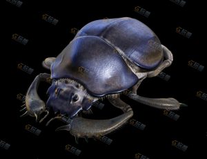 大甲虫Blender模型