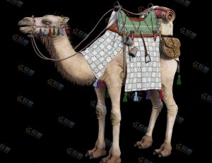 西域贵族旅行骆驼Blender模型