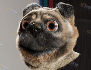 带毛发的狗头Blender工程源文件