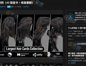 女士毛发发型模型包40款