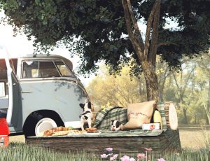 清新野炊场景Blender工程源文件