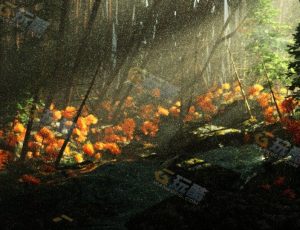 小森林Blender工程源文件