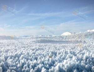 冬季树林Blender工程源文件