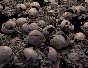 尸骨残骸堆3D模型套装