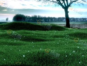 草地Blender工程源文件