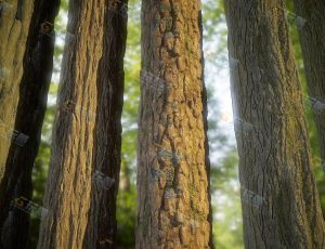 SD树皮纹理材质生成控制器