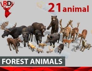 带动画的动物模型包