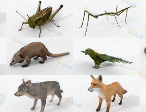 30款动物模型包