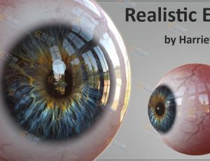 高精度眼球模型