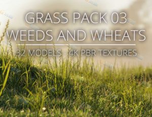 杂草小麦模型包