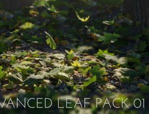 树木叶子模型包