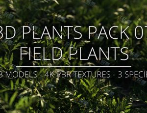 田间植物模型包