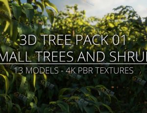 小树灌木植物模型包