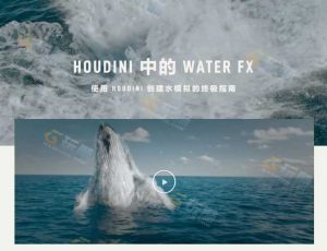 Rebelway高级Houdini海洋流体水特效模拟大师班