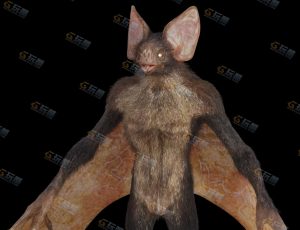 恶魔蝙蝠怪模型