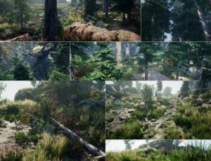 UE5工程文件—环境集