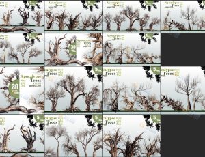 枯树植物Blender资产库