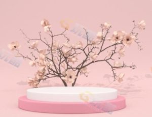 Blender资源—时尚简约创意场景v3工程源文件