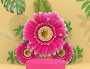 Blender资源—时尚简约创意场景v5工程源文件