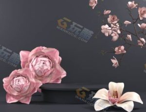 Blender资源—时尚简约创意场景v42工程源文件