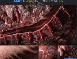 463张皮肉图片包合集