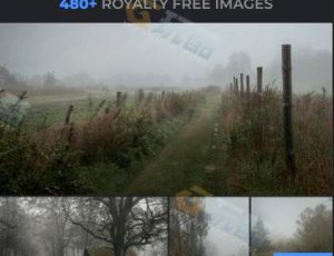 483张迷雾乡村图片包合集