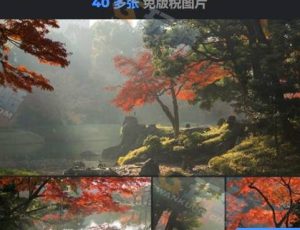 46张秋园图片合集包