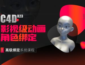 C4D角色绑定影视级动画【面部+身体+四肢】真实面部表情演绎/111节系统教学