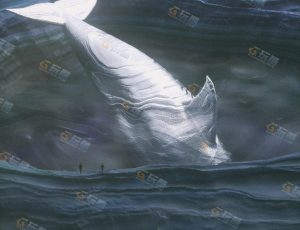 C4D工程源文件—鲸鱼巢洞