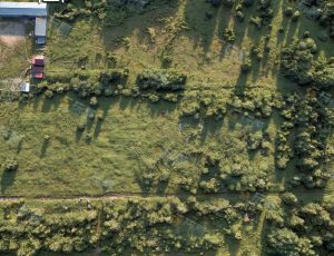 Blender工程源文件—航拍扫描森林