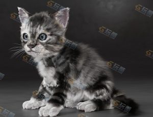 Blender模型—可爱灰白猫