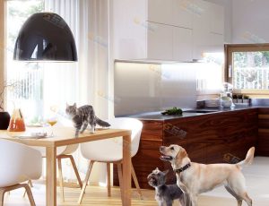 宠物动物图片包