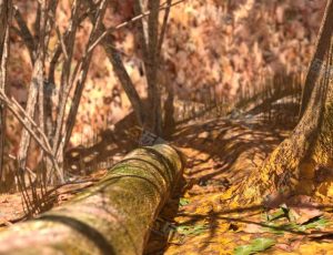 Blender工程源文件—秋叶枯树林