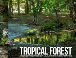 670+热带森林合成图片包