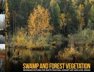 590+沼泽森林植被图片包