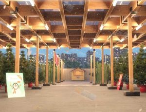 Blender工程源文件—圣诞树园