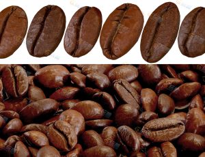 Blender模型—高精度咖啡豆