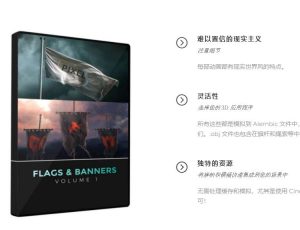 60种3D旗帜布料飘动动画预设