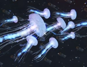 Blender工程源文件—唯美动态水母场景