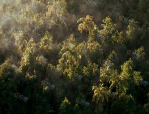 C4D工程源文件—原始密林