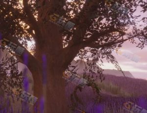 Blender工程源文件—薰衣草园地