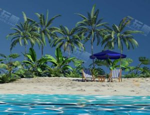 动态海洋沙滩场景