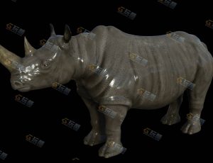 犀牛模型