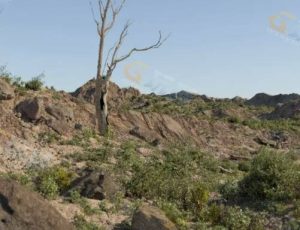 C4D工程源文件—野外荒地