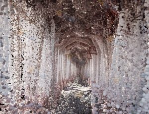 粒子走廊—布兰德（BL）工程源文件